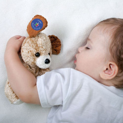 Iron-on Teddy Labels