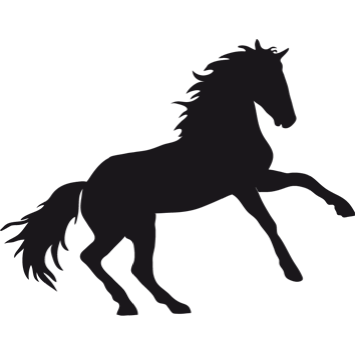 cheval_noir