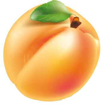 fruit_abricot
