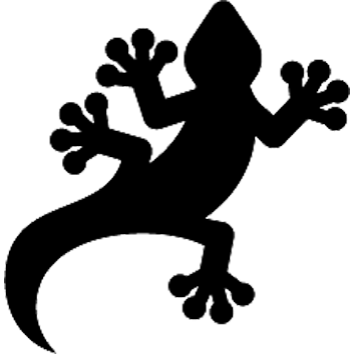 gekko_noir