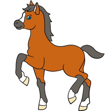 poney