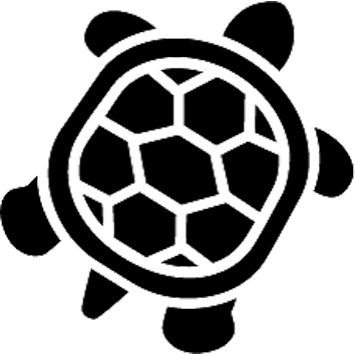 tortue_noire